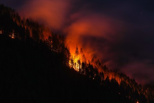 The Brunswick Creek wildfire consumes trees on a mountainside, in Boston Bar, B.C., on Thursday. It's time Canada had a dedicated national firefighting force. (The Canadian Press)