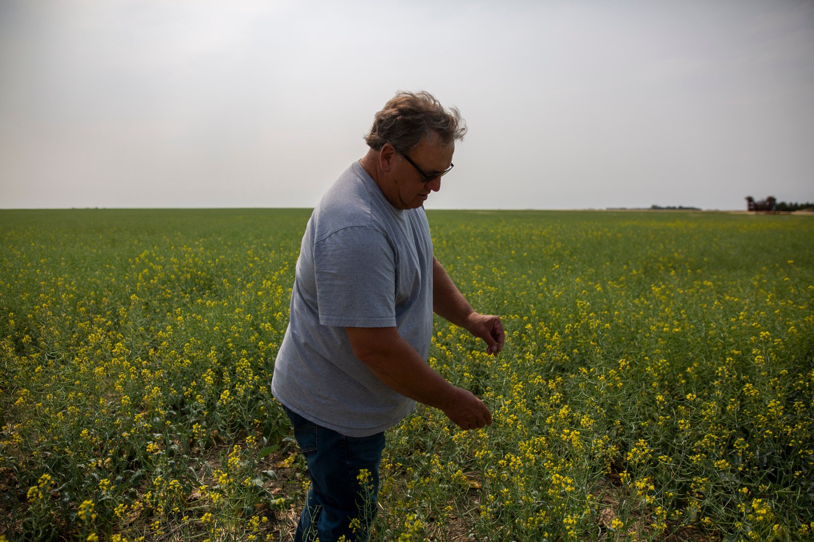 Saskatchewan senator, farmer Todd Lewis dies at age 65