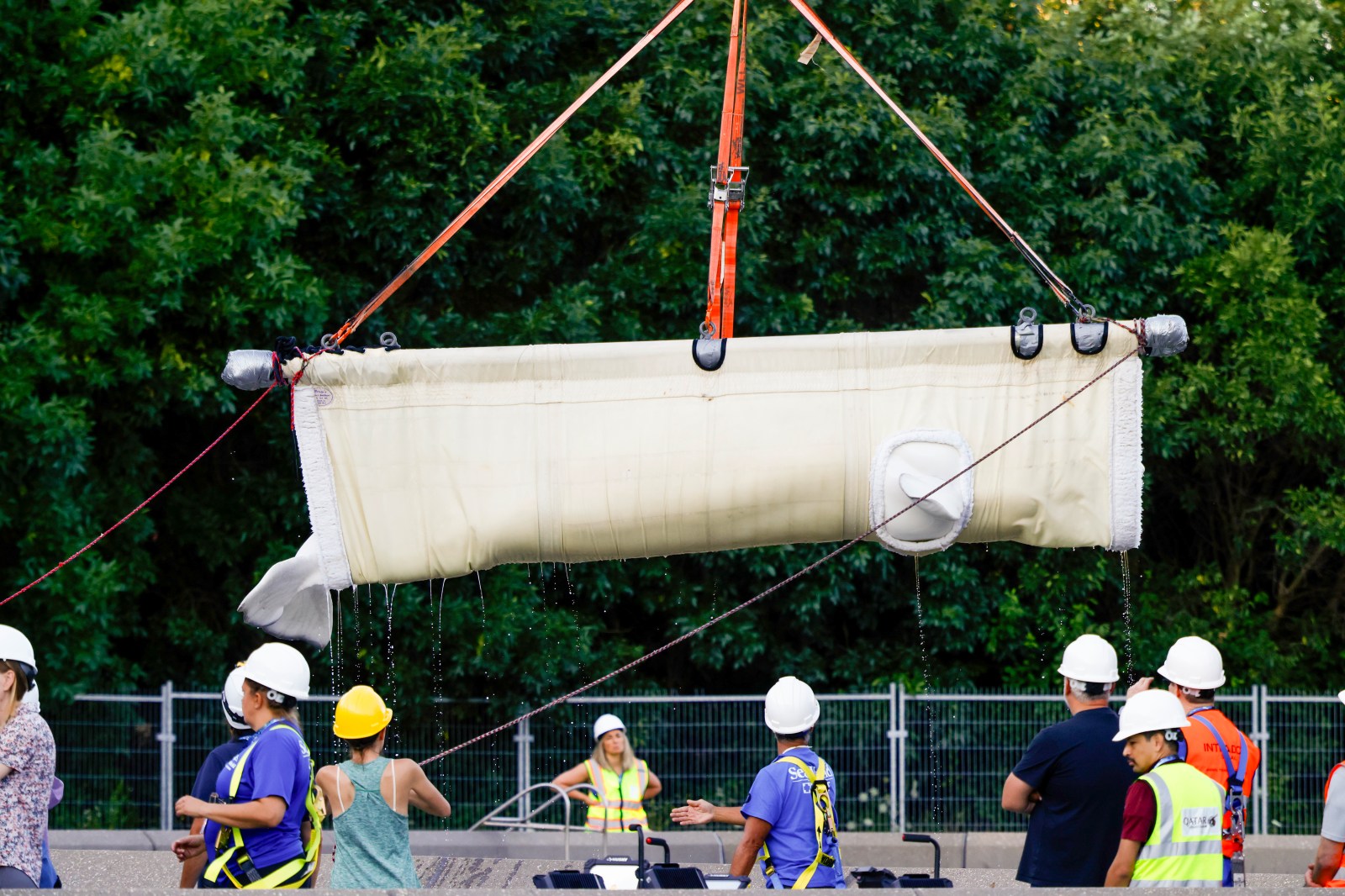 Seven more belugas on the move from Marineland to U.S. aquarium
