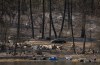 A property on Okanagan Indian Band land that was destroyed by the Bradley Creek wildfire is seen, in Vernon, B.C., on Tuesday, Aug. 4, 2026. Okanagan Indian Band Chief Dan Wilson said on Tuesday that about 230 homes have been destroyed in one of the worst wildfire losses in recent Canadian history. THE CANADIAN PRESS/ Darryl Dyck