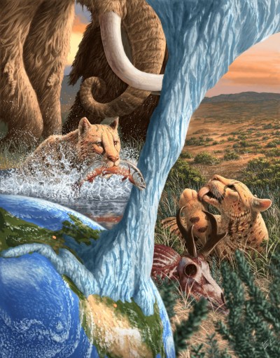 Two Miracinonyx hunt in this artistic rendering. A new study says the cheetah-like species which roamed the Yukon 30,000 years ago developed a unique fish diet to survive.
 THE CANADIAN PRESS/Handout — Julius Csotonyi (Mandatory Credit)