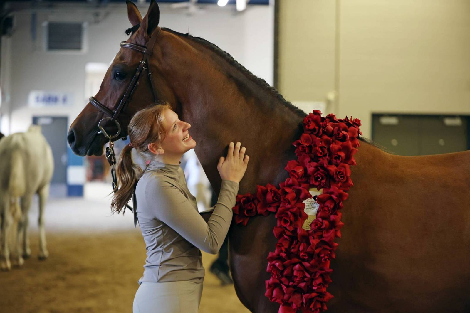 Arabian show draws riders for sport, recreation