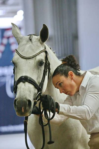 Laura Nash from Maple Ridge, B.C., inspects the harness of her Arabian horse Sakaris Silver Amirah during competition on Friday afternoon at the Keystone Centre&rsquo;s Assiniboine Credit Union Agricultural Centre. (Matt Goerzen/The Brandon Sun)