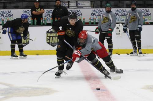 Jimmy Egan, left, competes for the puck with Axel Gleasman at Brandon Wheat Kings training camp at Assiniboine Credit Union Place a year ago. Egan is back for a second season in Brandon while Gleasman is hoping to join his older brother Gunnar in the lineup. Camp starts with practices on Thursday and intrasquad games on Friday and Saturday. The prospects game and annual Black and Gold game will be held Sunday. (Perry Bergson/The Brandon Sun)
