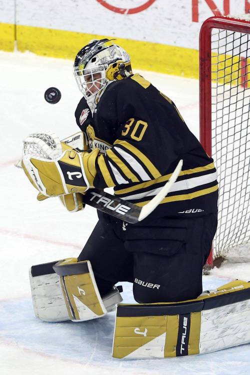 Netminder Filip Ruzicka (30) of the Brandon Wheat Kings deflects a shot on net by the Prince George Cougars at Assiniboine Credit Union Place in February. Much will be expected of the big Czech netminder in his second Western Hockey League season. (Tim Smith/The Brandon Sun)