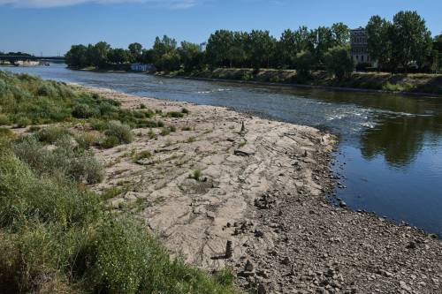 A broad section of exposed riverbed is seen along the Elbe River as water levels recede in Magdeburg, Germany, on Aug. 14. The river, which flows through the Czech Republic and Germany, saw record-low water levels amid intense droughts and heat waves across Europe. (The Associated Press files)
