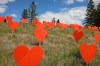 Guests look over the 104 orange hearts symbolizing children who died at the Brandon Indian Residential School during a ceremony put on by the Southern Chief's Organization and Sioux Valley Dakota Nation to honour residential school victims and survivors at the site of the former Brandon Indian Residential School, in this file photo. (Tim Smith/The Brandon Sun)