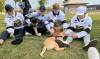 Brandon Wheat Kings Charlie Elick, Caleb Hadland, Roger McQueen and Jaxon Jacobson get down on the ground to play with a pair of former Brandon Humane Society puppies, Fred and Barney, during the annual Wag-A-Tail Walk-A-Thon in 2023 at Kin Park. The longtime relationship between the Western Hockey League club and the Humane Society has provided huge benefits for both, with this year&rsquo;s event at Kin Park on Sunday at 10 a.m. (Perry Bergson/The Brandon Sun)