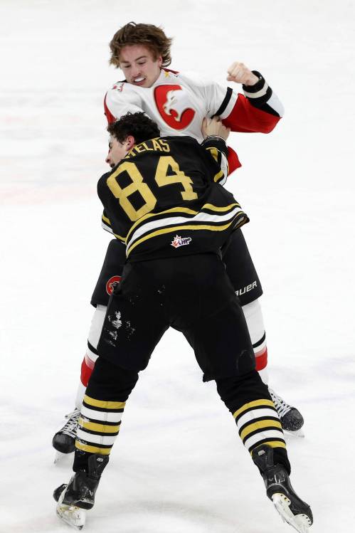 Aiden Foster (16) of the Prince George Cougars and Giorgos Pantelas (84) of the Brandon Wheat Kings exchange blows during Western Hockey League action at Assiniboine Credit Union Place last February. With Pantelas now skating with the Penticton Vees, they&rsquo;ll be battling in the B.C. Division this winter. (Tim Smith/The Brandon Sun)