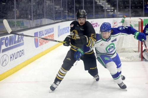 Brandon Wheat Kings forward Jimmy Egan and Swift Current Broncos defenceman Jace McFaul chase the puck during Western Hockey League action at Assiniboine Credit Union Place on Nov. 5, 2025. Both players are back as Swift Current looks to move up in the standings. (Tim Smith/The Brandon Sun)