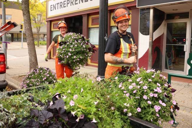 Labourer Elena Roberts and lead horticulturalist Abigail Phipps with the City of Brandon remove hanging baskets from lampposts along Rosser Avenue in Brandon for winter storage on Wednesday. The city has about 250 hanging baskets throughout Brandon. (Tim Smith/The Brandon Sun)
