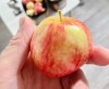 Fruits like an apple are a great way to start the day in the morning for kids heading back to school. (Matt Goerzen/The Brandon Sun)