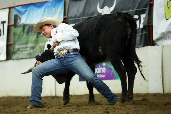 Kesler Brown of Virden competes in the junior high chute dogging event at the Brandon High School Indoor Rodeo at the Keystone Centre on Thursday. The high school rodeo continues today. The Wheat City Cowtown Eastern Circuit Finals rodeo also kicked off Thursday evening and runs again tonight and tomorrow evening. (Tim Smith/The Brandon Sun)