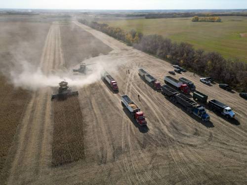 A soybean harvesting operation takes place on a field east of Rivers on Monday during Acres of Hope in support of the Canadian Foodgrains Bank. (Tim Smith/The Brandon Sun))