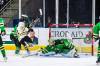Brandon Wheat Kings forward Chase Surkan (11) scores a highlight-reel goal on Prince Albert Raiders goalie Steele Bass (35) during the first period of Western Hockey League action at Art Hauser Centre on Wednesday. The Raiders won 4-2. (Mark Peterson/Prince Albert Raiders) Oct. 28, 2026