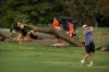 Golfers hit from the fairway near log sections cut from trees at the East Potomac Golf Links, Monday, Oct. 12, 2026, in Washington. (AP Photo/Mark Schiefelbein)